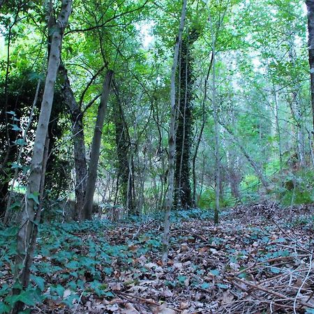 Eco Camping Juncal Hotel มาร์โก เดอ คานาเวเซส ภายนอก รูปภาพ