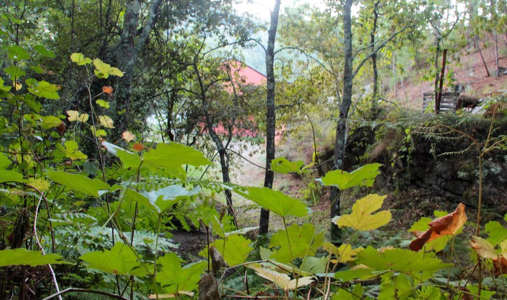 Eco Camping Juncal Hotel มาร์โก เดอ คานาเวเซส ภายนอก รูปภาพ
